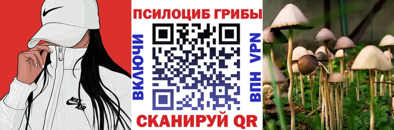 Галлюциногенные грибы Psilocybine cubensis  Белореченск 